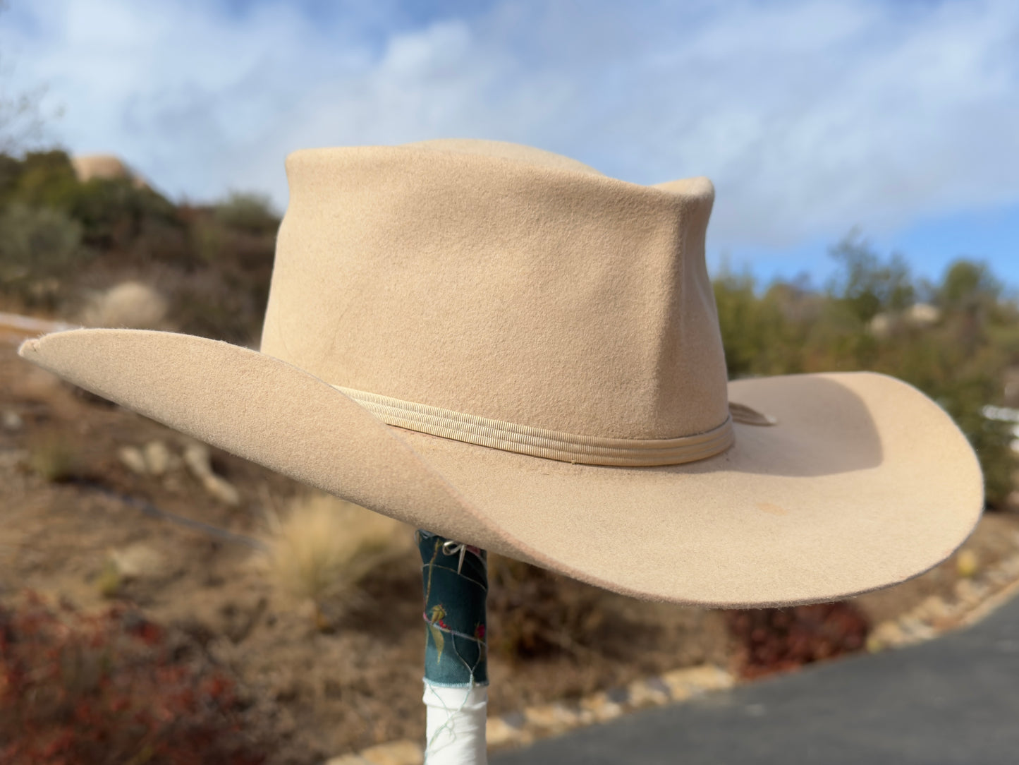 D69 7 3/8 B (23 3/8")